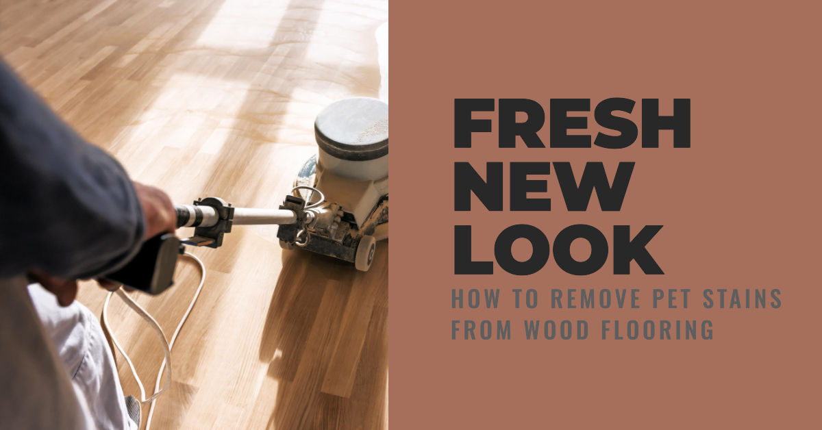 How To Remove Pet Stains From Wood Flooring And Beyond Blog
