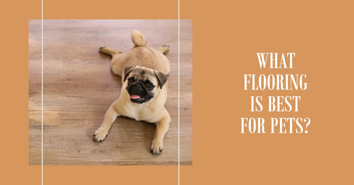 What Flooring Is Best for Pets?