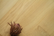 Natural Engineered Flooring Oak Bespoke Click Herringbone Japan Brushed Uv Lacquered 12/3mm By 120mm By 550mm FL4555 5