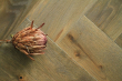 Natural Engineered Flooring Oak Bespoke Click Herringbone Dakota Brushed UV Oiled 12/3mm By 120mm By 550mm FL4617 3