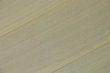 Natural Engineered Flooring Oak Bespoke Eco Magnum UV Oiled 16/4mm By 180mm By 600-2400mm GP118 7