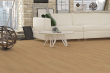 Peking Natural Oak Laminate Flooring 8mm By 197mm By 1205mm LM050 1